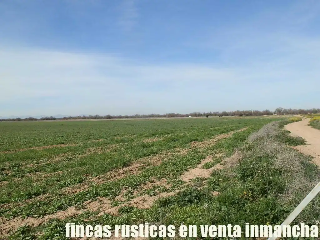 Rural land for sale in Madridejos, imagen 14