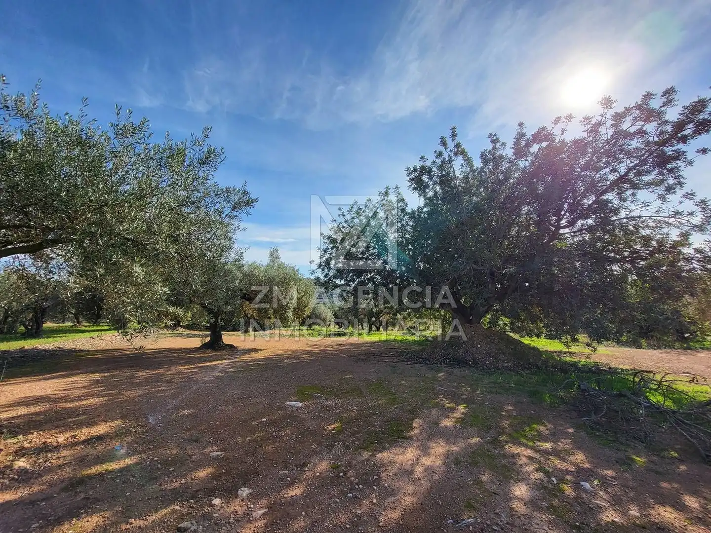 Terreno rustico in vendita a Traiguera, imagen 16