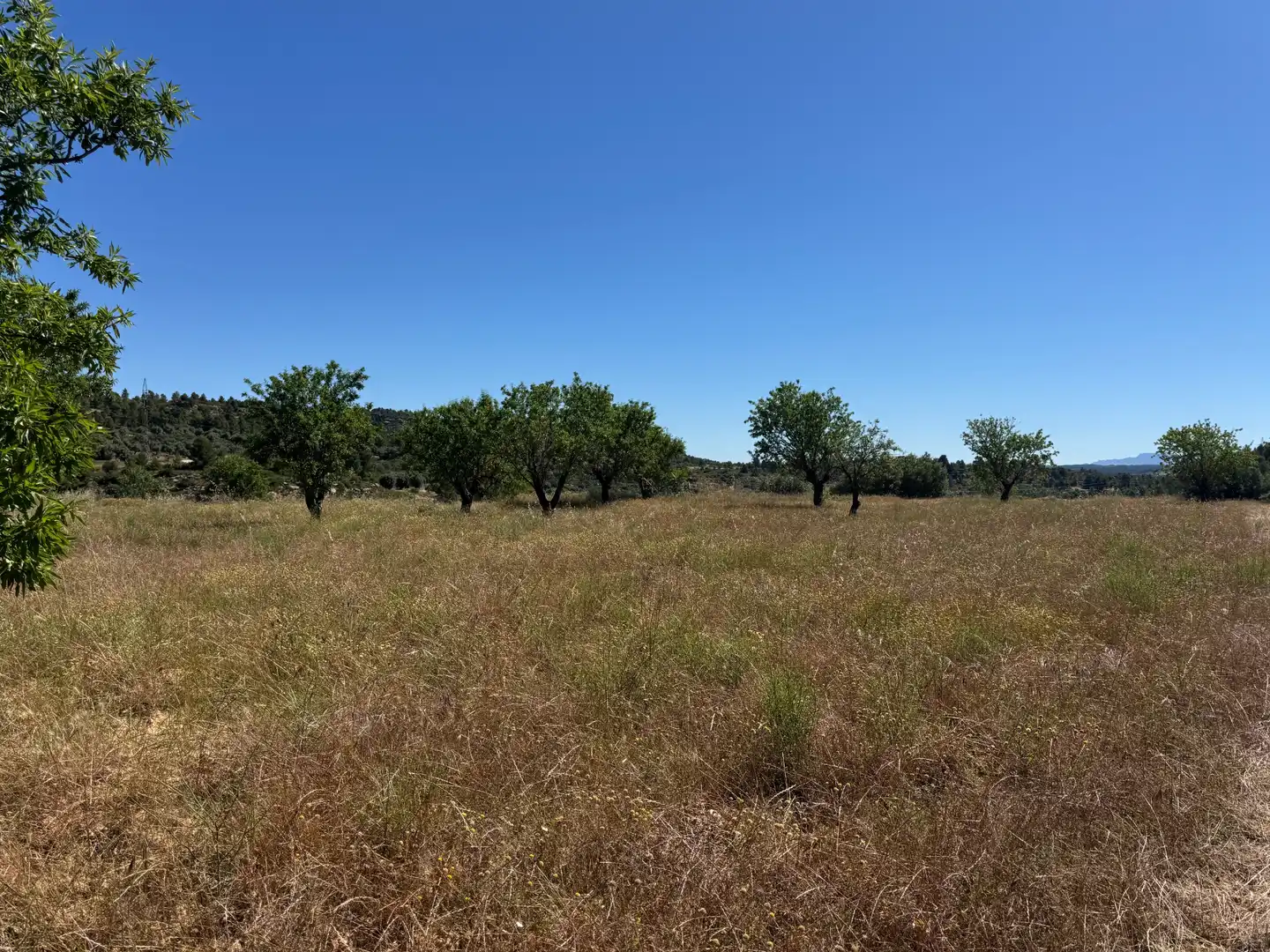 Terreno rustico in vendita a Avenida Virgen de Gracia 17B, imagen 11