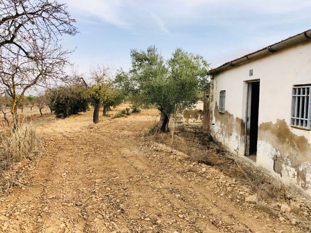 Finca rústica en Venta en Biar
