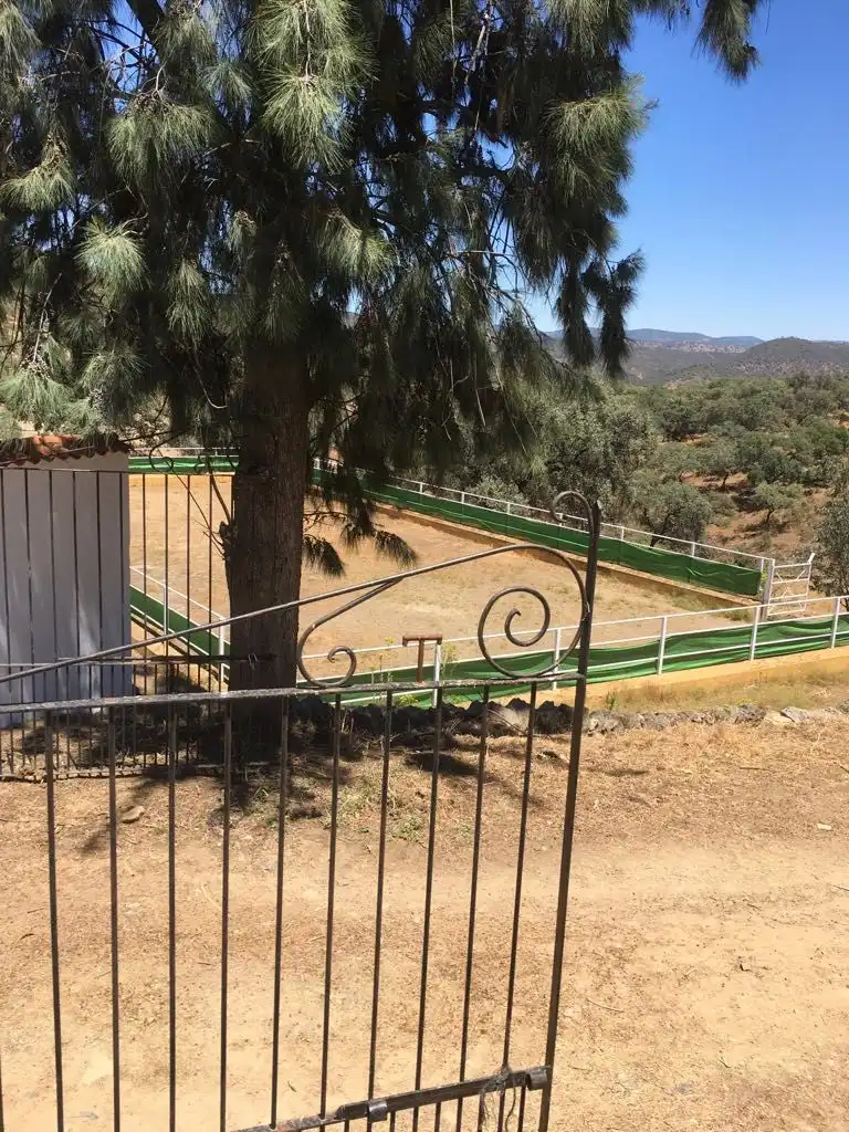 Jardín de Finca rústica en venta en Aracena con Aire acondicionado, Jardín privado y Parquet
