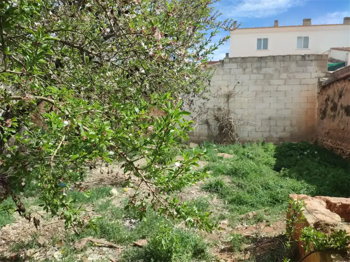 Casa o xalet en venda en Tarazona de la Mancha, Albacete
