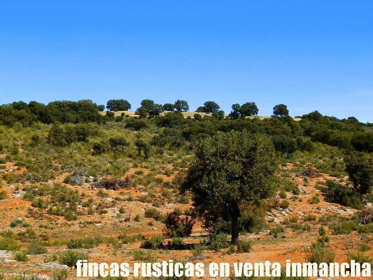 Lands and plots for sale in Ossa de Montiel, imagen 9