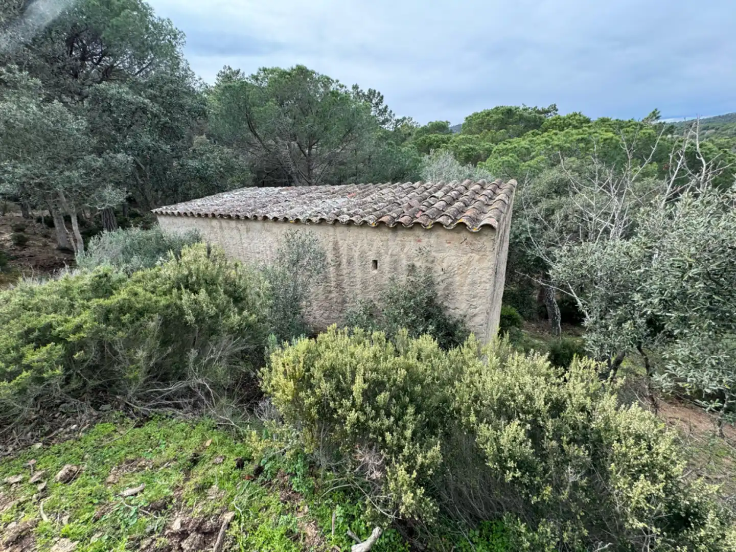 Finca rústica en venta en Carretera Sant Amanç, 2, Mas Trempat - Sant Amanç - Casa Nova