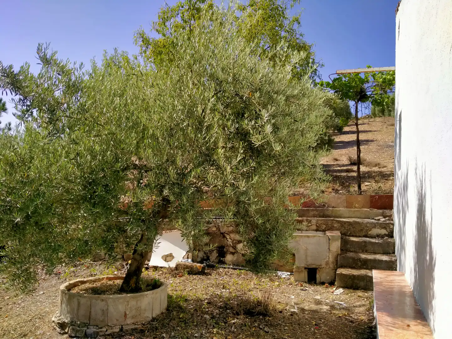 Rural land for sale in Calle Medina del Campo, imagen 7