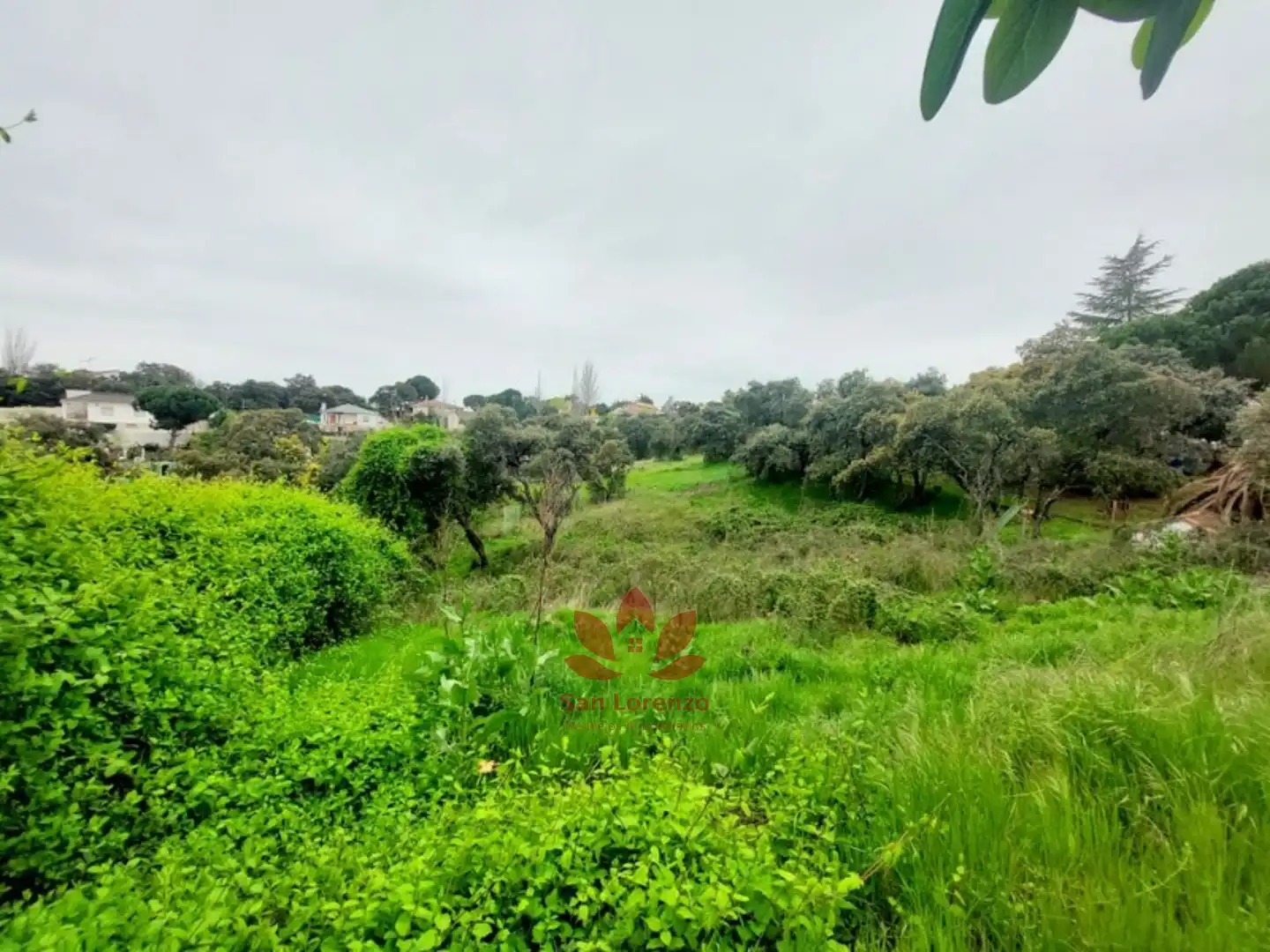 Terreni e lotti in vendita a Villa del Prado, imagen 6