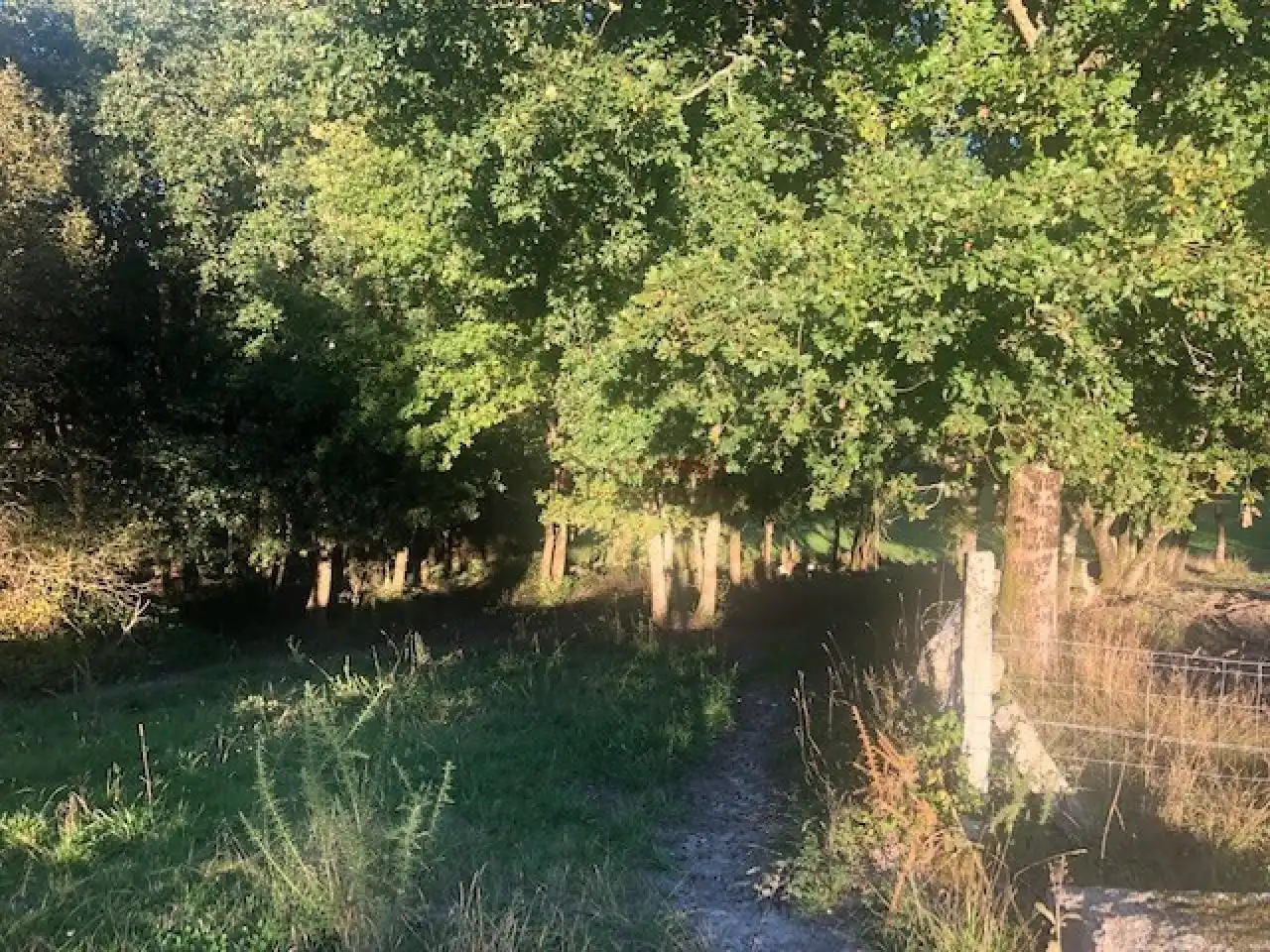 Terreni e lotti in vendita a Nogueira de Ramuín, imagen 11