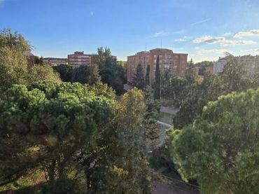 Pis amb ascensor en venda a Capiscol - Gamonal
