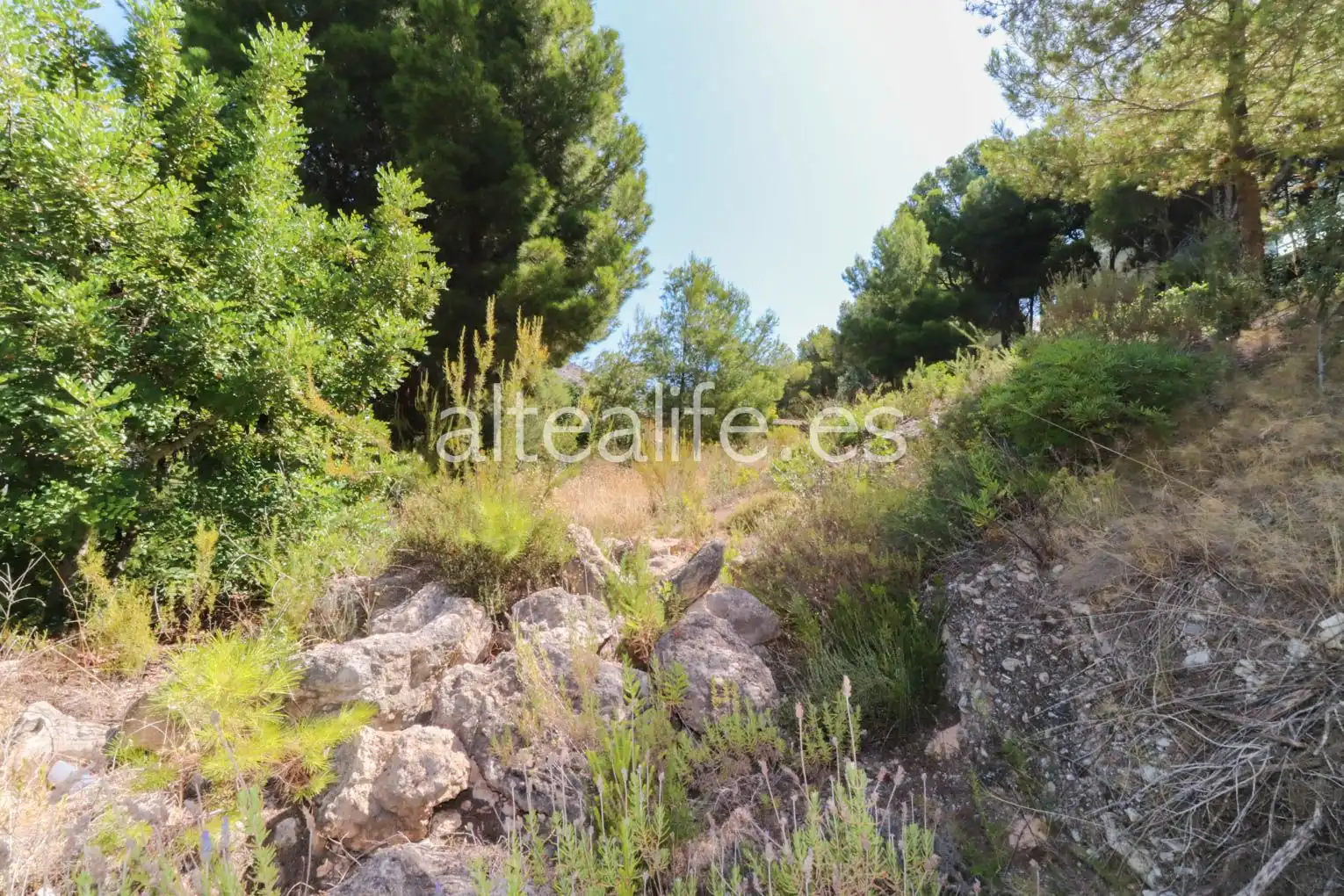Terreny residencial en venda a Altea la Vella, imagen 8