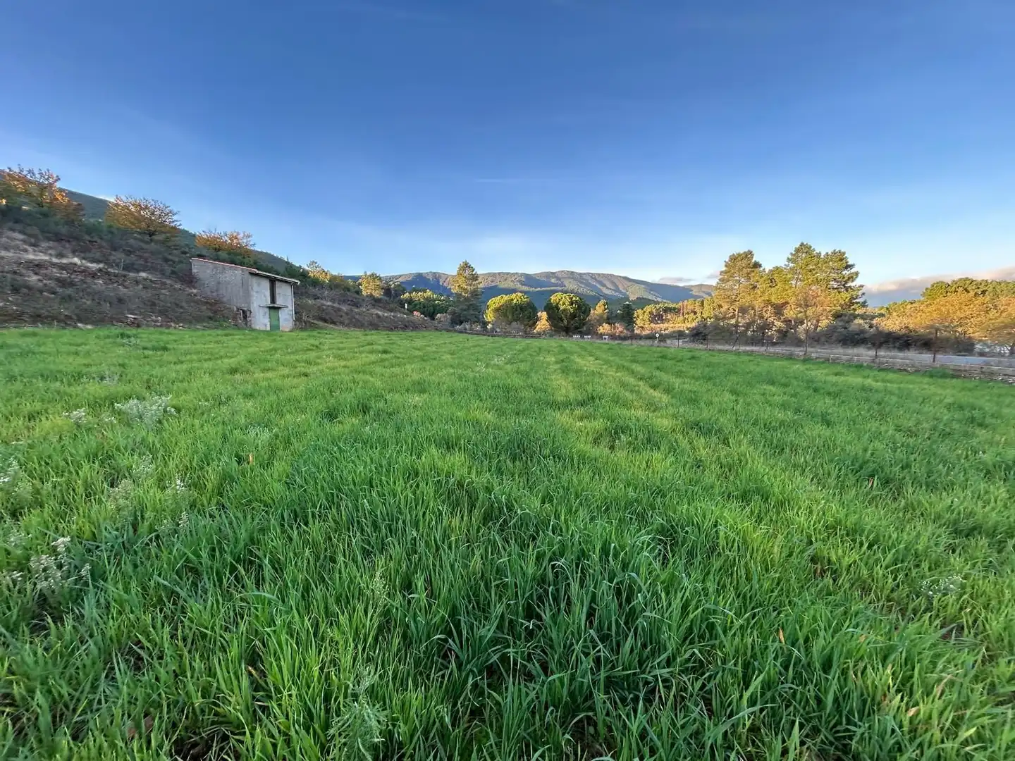 Terreno en venta en Santibáñez el Alto