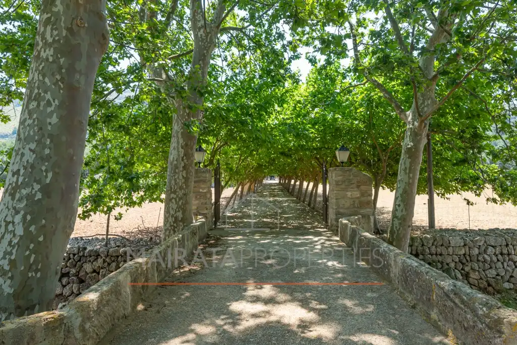 Vista exterior de Finca rústica en venda en Pollença amb Jardí privat, Terrassa i Traster