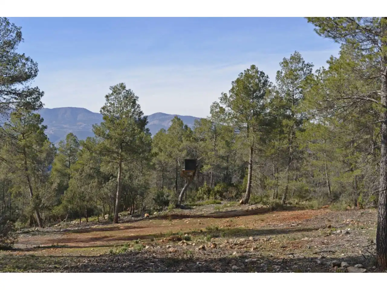 Lands and plots for sale in Pasaje Rincones y Sierra Espuña, imagen 21