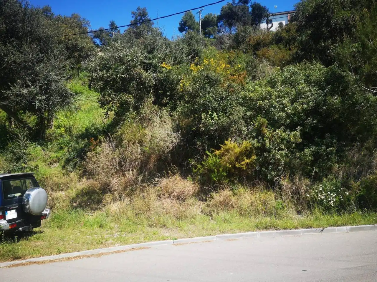 Rural land for sale in Palafolls, imagen 3