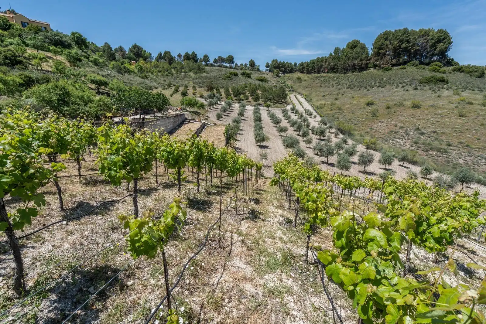 Finca rústica en venta en Chinchón con Aire acondicionado, Calefacción y Jardín privado