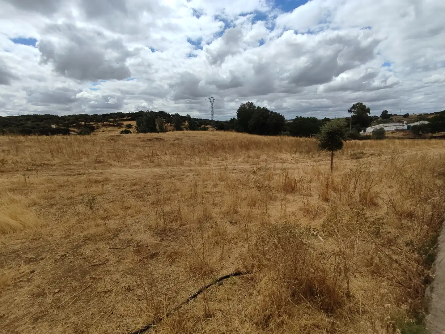 Terreno rustico in vendita a Burguillos del Cerro, imagen 4