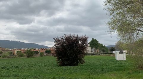 LA BATEDORA , imatge 2