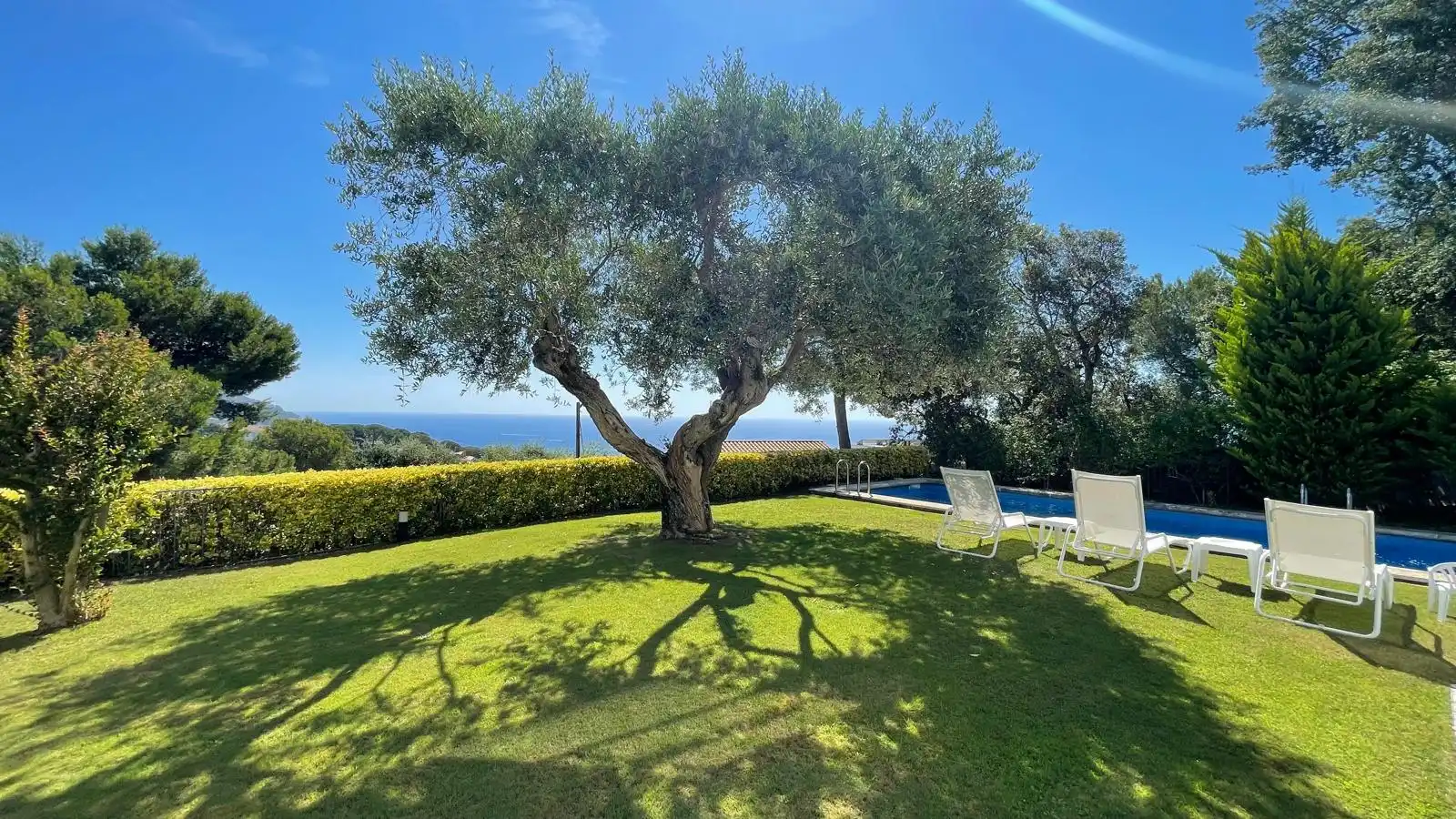 Jardí de Casa o xalet en venda en Palafrugell amb Jardí privat, Terrassa i Traster
