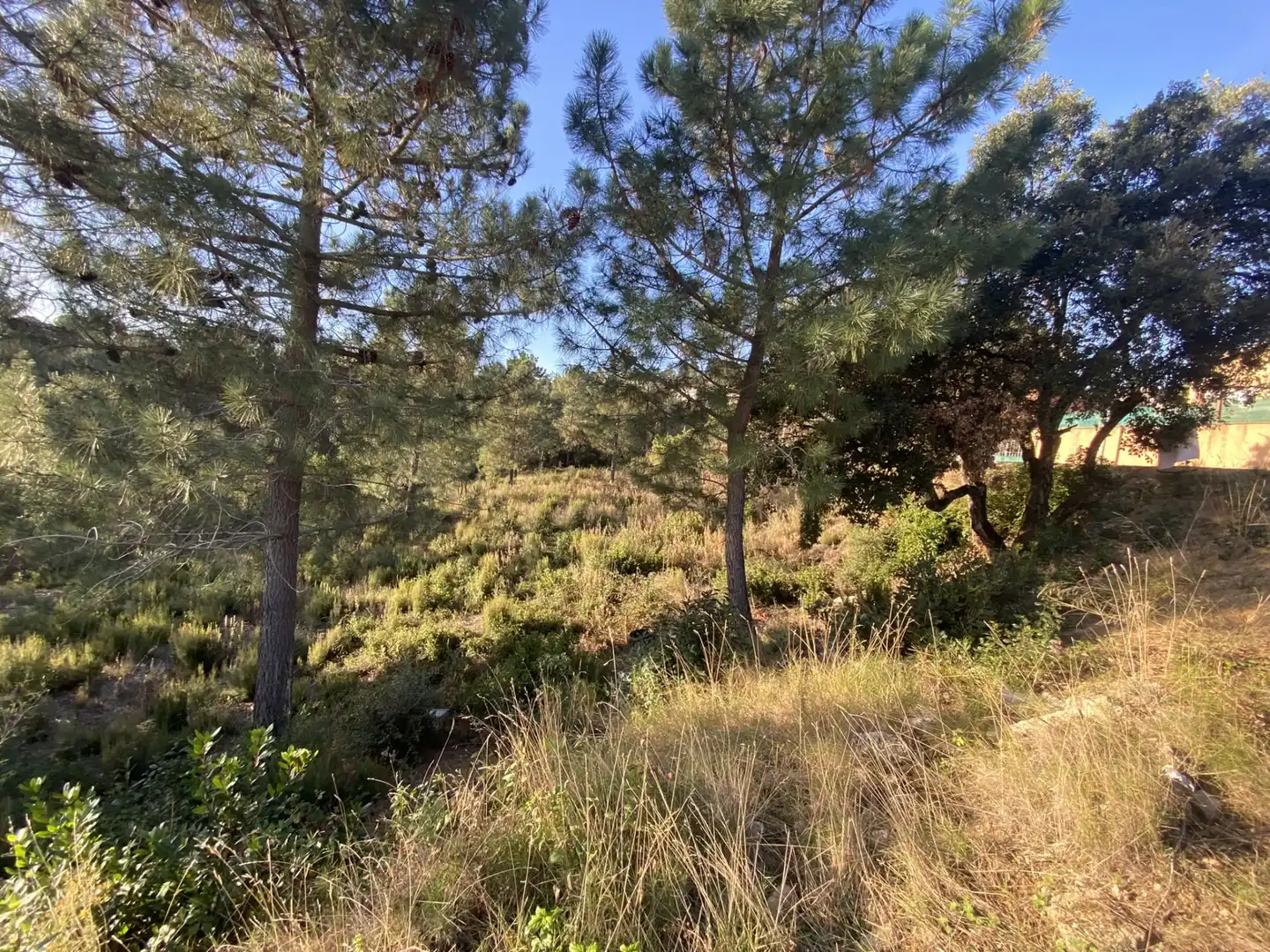 Terreno residencial en venta en Carrer Perdiu 38, imagen 18
