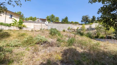 Foto 2 de Terreno en venta en Cala Sant Vicenç, Pollença