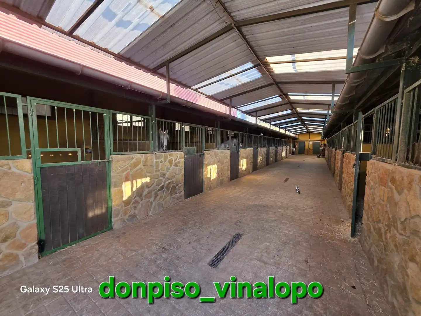 Finca rústica en venta en Petrer, Alicante