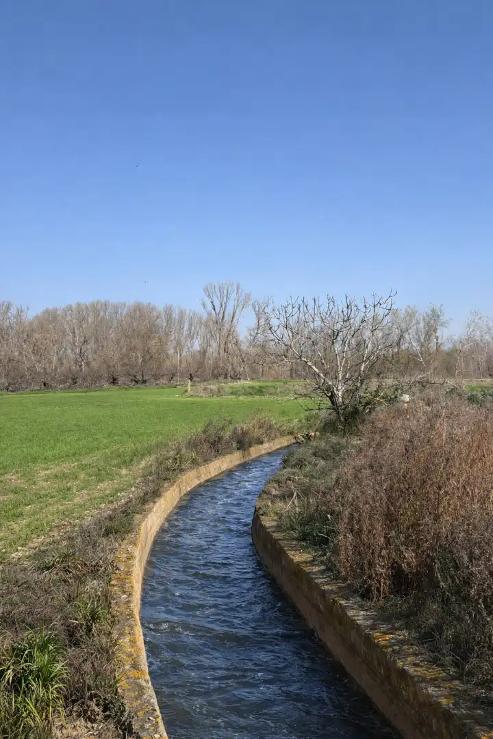 Rural land for sale in Agoncillo