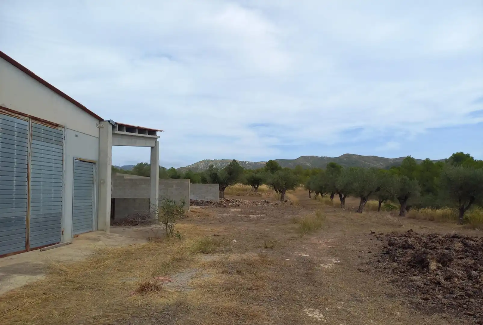 Finca rústica en venta en Tivissa