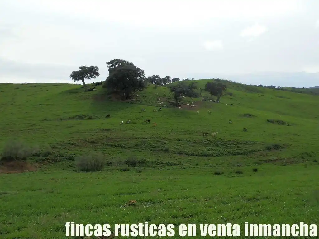 Terreno rustico in vendita a Algodonales, imagen 9