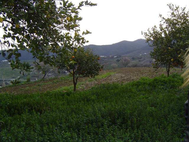 Terreno en Venta en ANTONIO RIOBOÓ en Carratraca