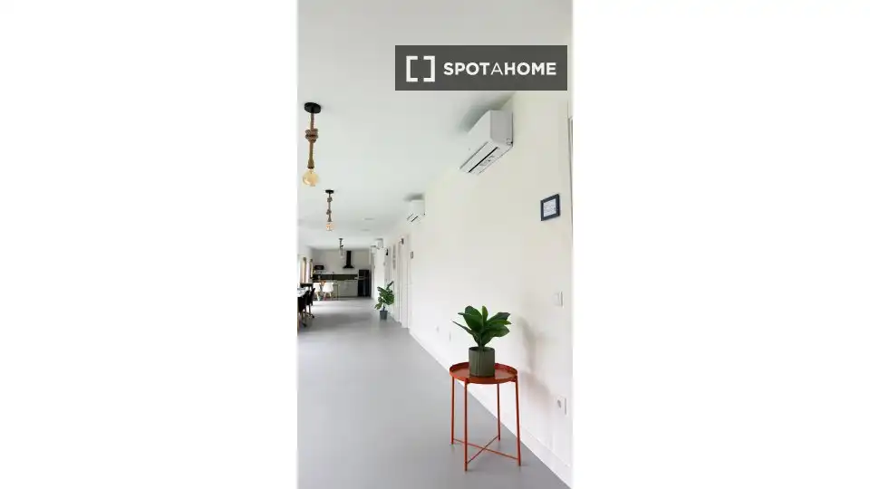Room in Viana de Cega