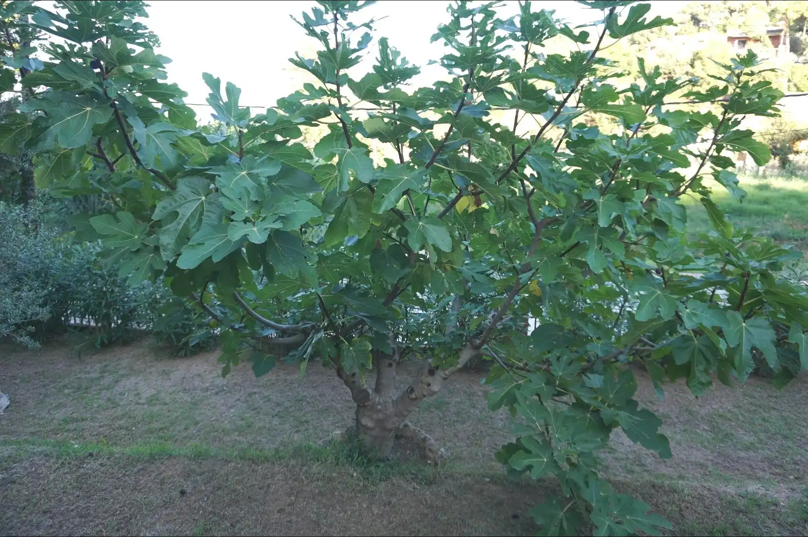 Xalet en venda a Palafolls, imagen 42