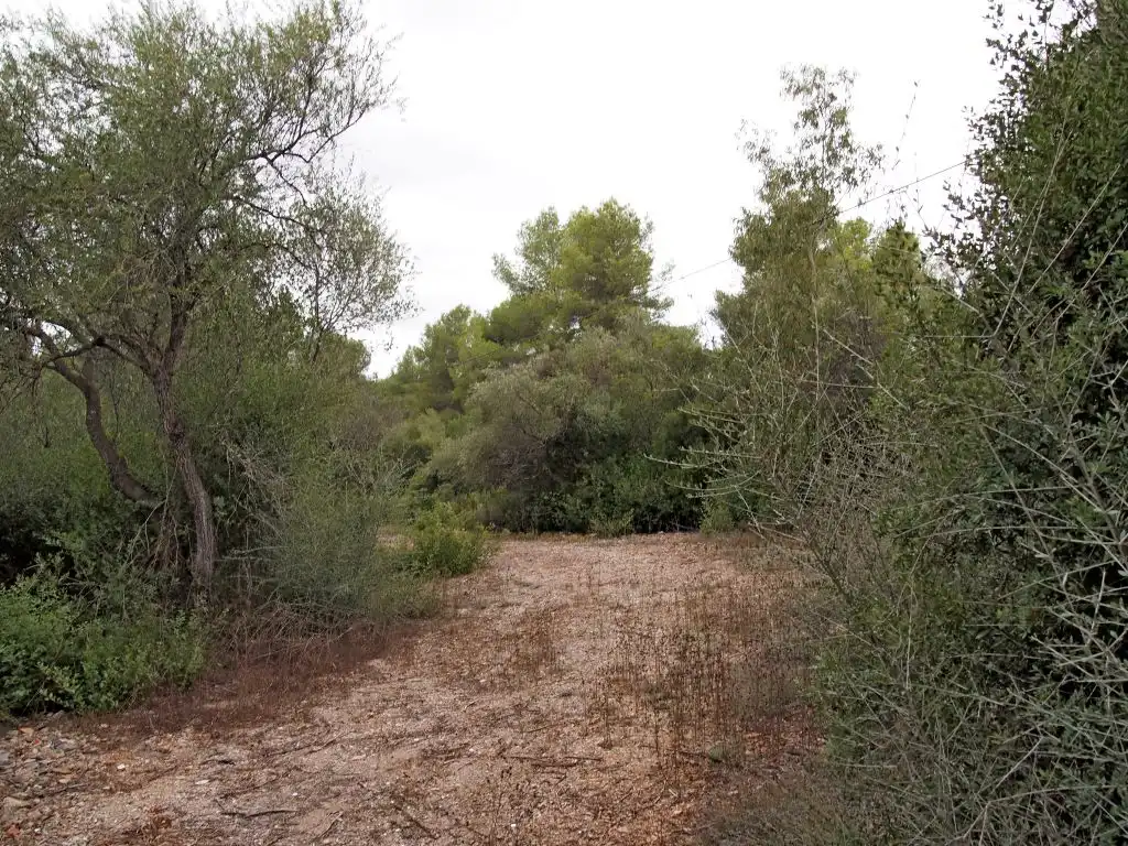Grundstücke und Bauplätze zum Verkauf in Camino des campàs, imagen 8