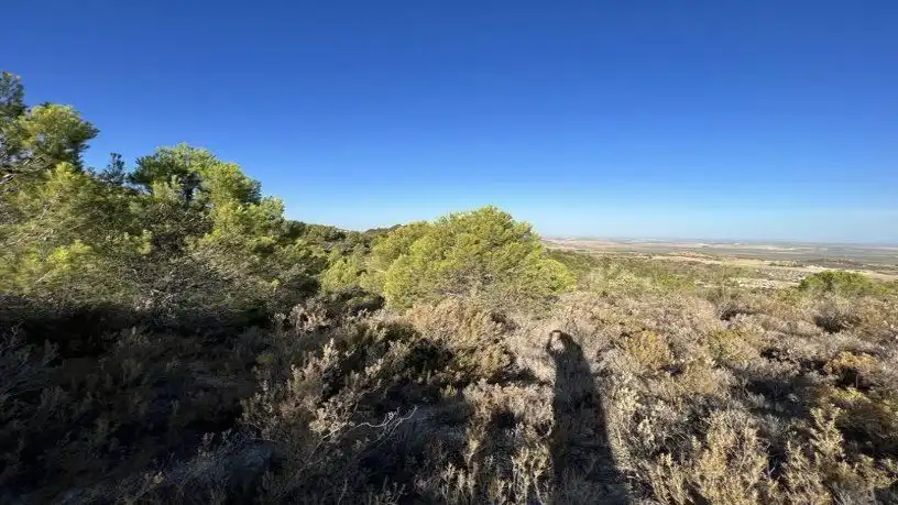 Finca rústica en venta en San Antonio O Guardarropa Pol 115.par 8,9 y 15, Osuna