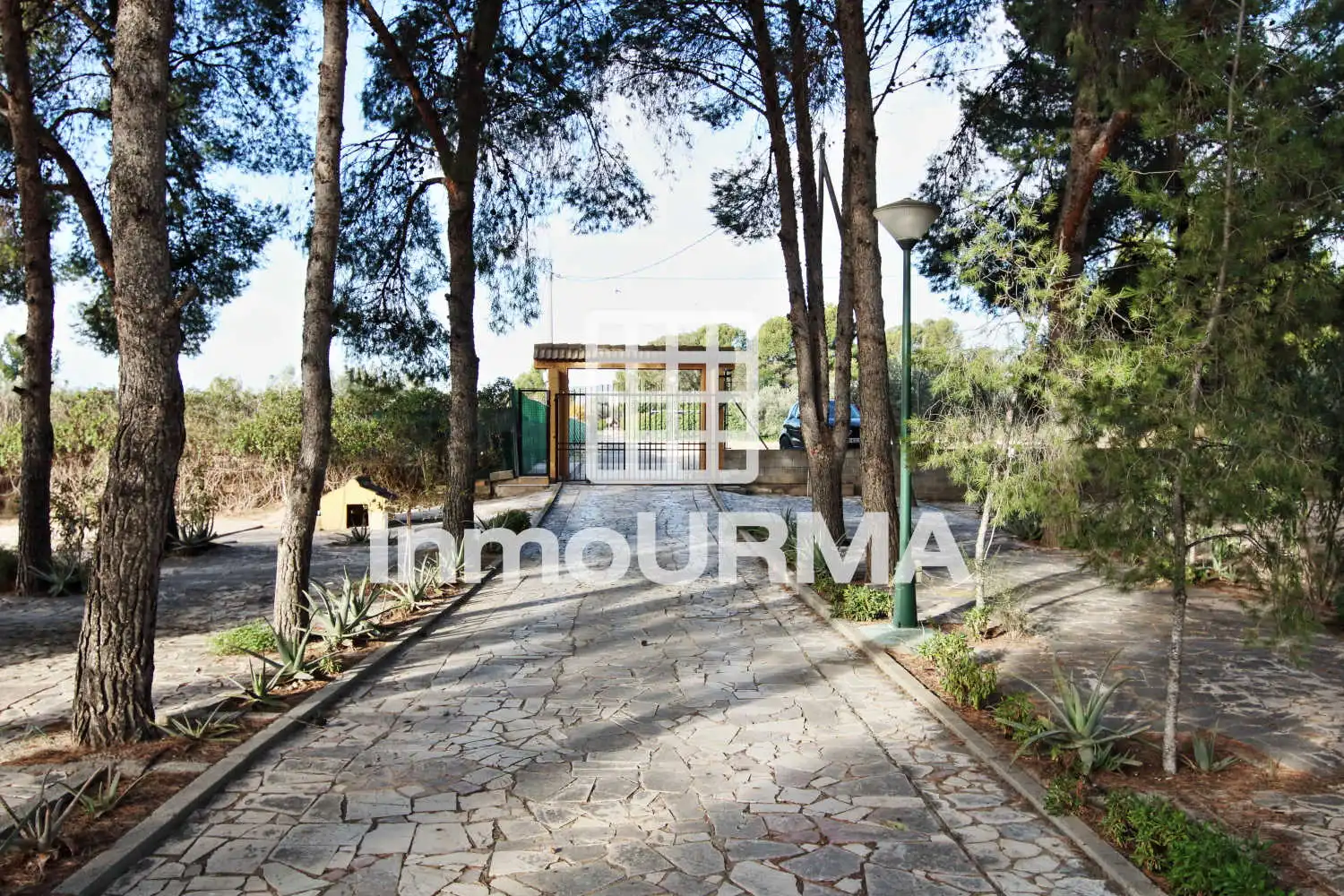Vista exterior de Casa o chalet en venta en Elda con Aire acondicionado, Calefacción y Jardín privado