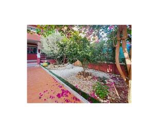 Garden of Apartment for sale in Orihuela