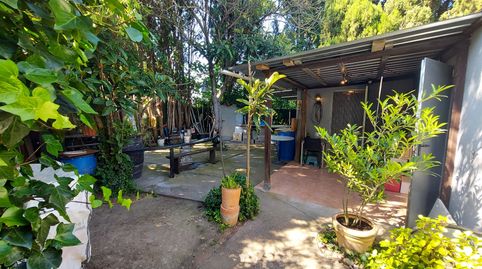 Terreno rústico de aproximadamente 900 m2 en Ullà, uso agrícola con barraca de obra de 18 años de antigüedad acondicionada para re, immagine 3