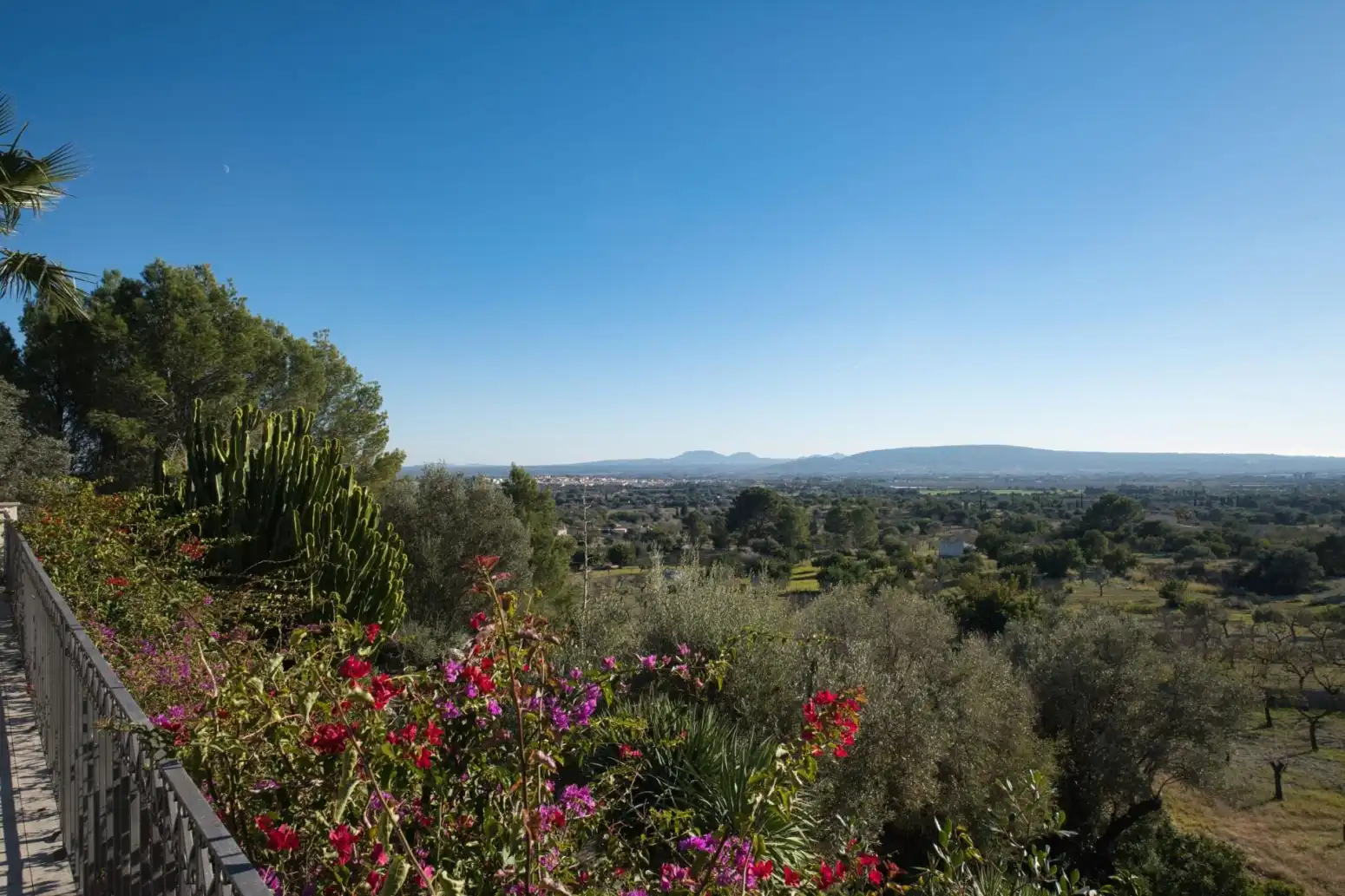 Maison avec terrasse à vendre à Santa María del Camí - Camino Camí des Raiguer, imagen 54