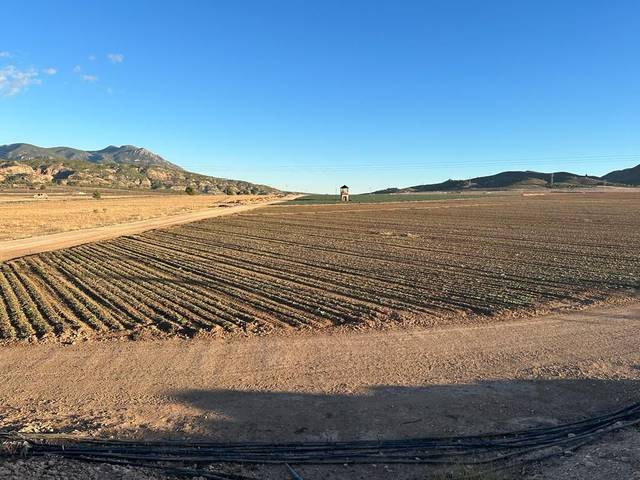 Finca rústica en Venta en  Jumilla en Jumilla