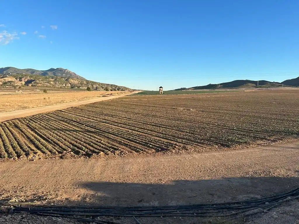 Country house for sale in Jumilla
