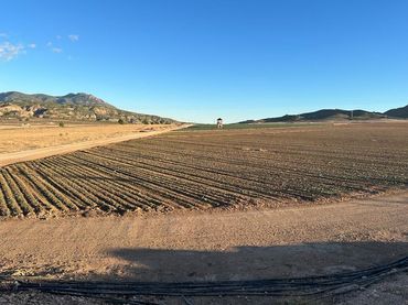 Casa rústica en venda a Jumilla