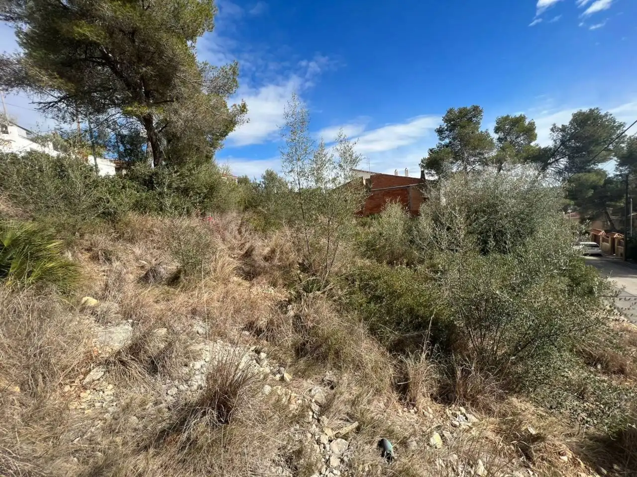 Rural land for sale in Calle ESPARRAGUERA 9, imagen 4