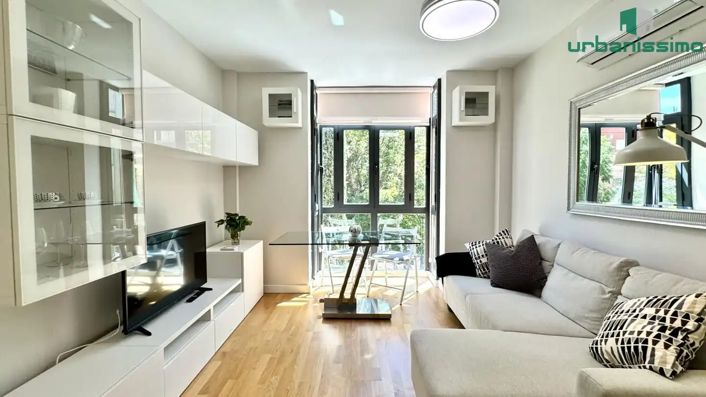 Sala d'estar de Apartament de lloguer en Madrid amb Aire condicionat, Traster i Moblat