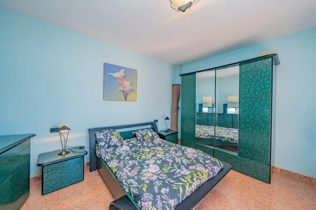 House with terrace for sale in Avenida de los Árboles, imagen 11