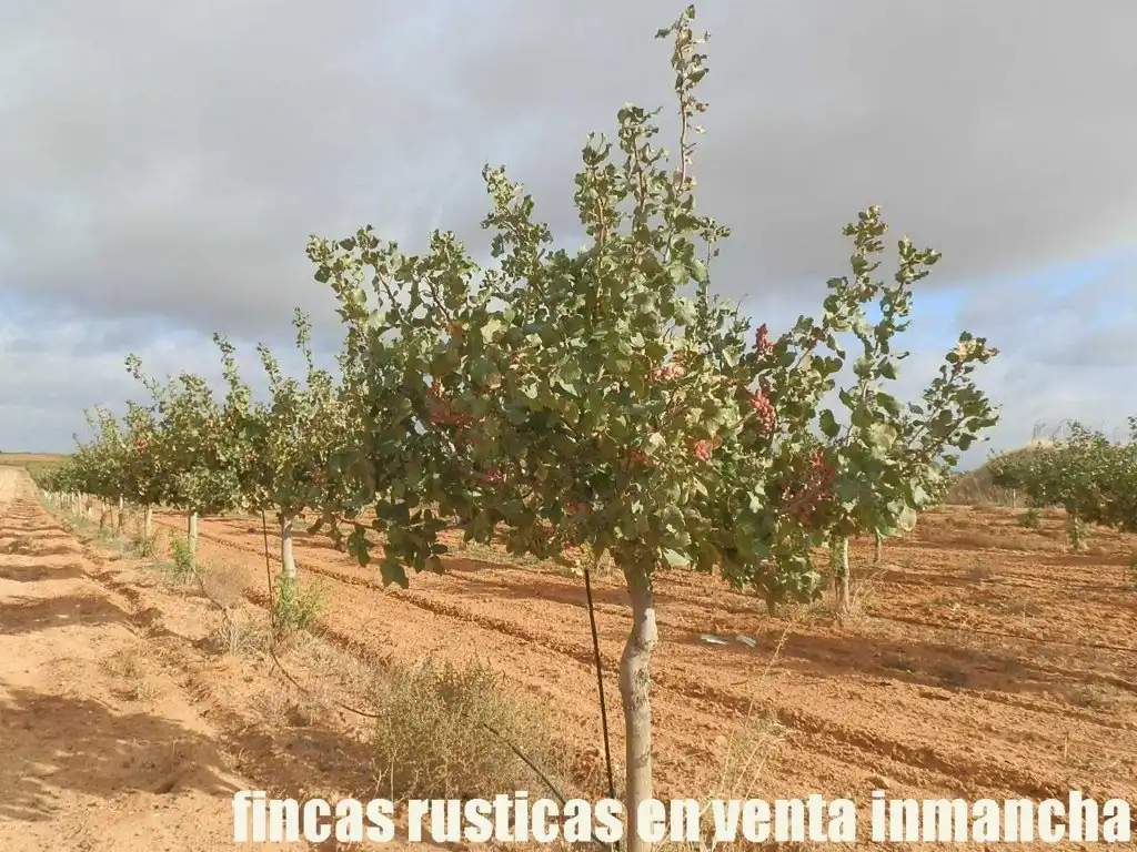Terreni e lotti in vendita a Las Mesas, imagen 12