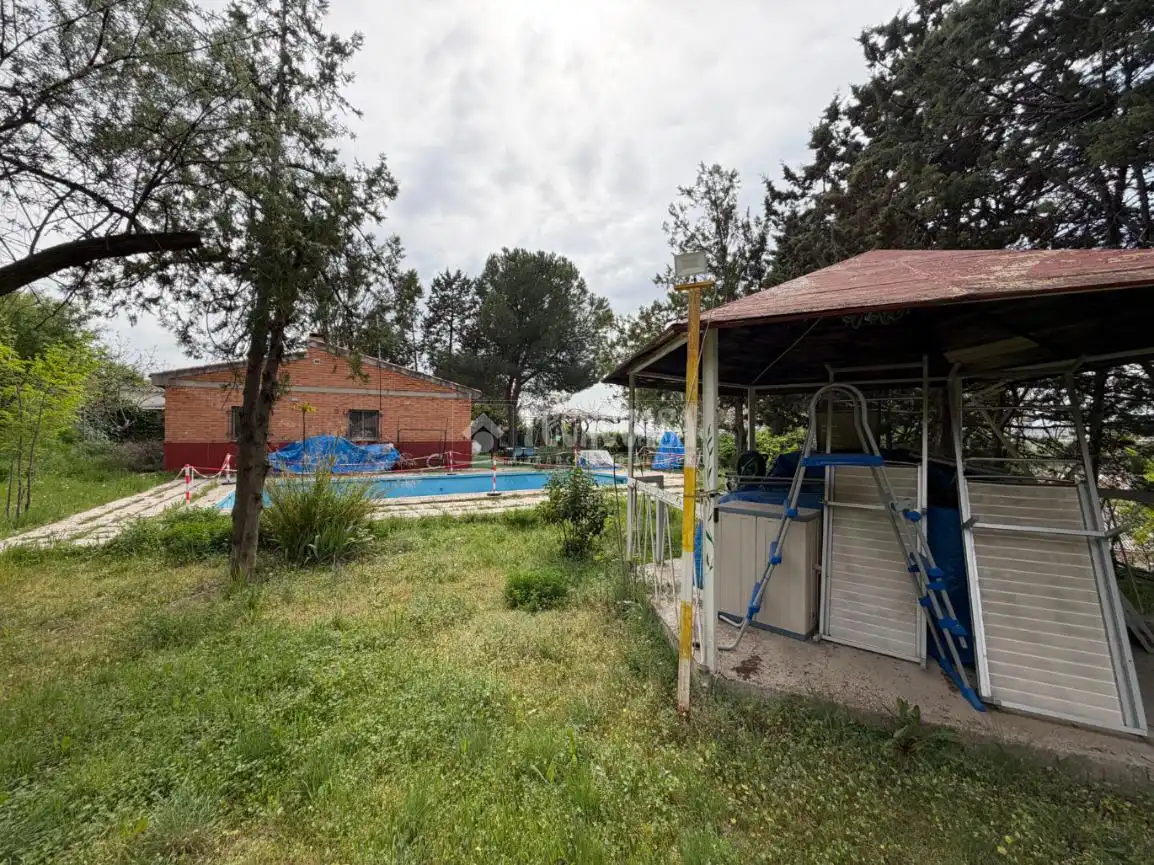 Piscina de Casa o chalet en venta en Paracuellos de Jarama