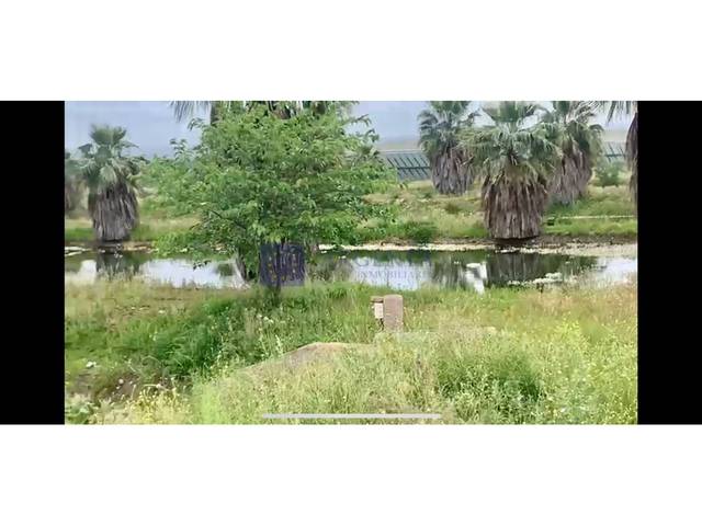 Casa-chalet en Venta en Aguas Vivas - La Zambomba