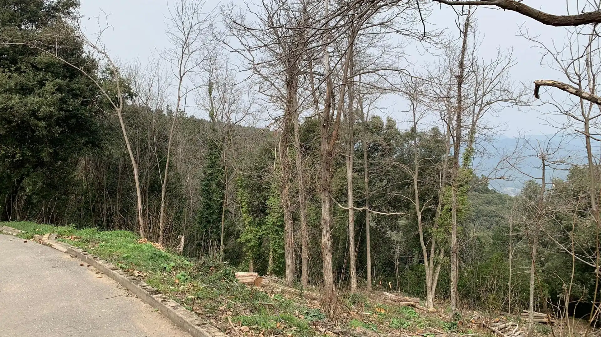 Residential land for sale in Turó de Monfort 60, imagen 8