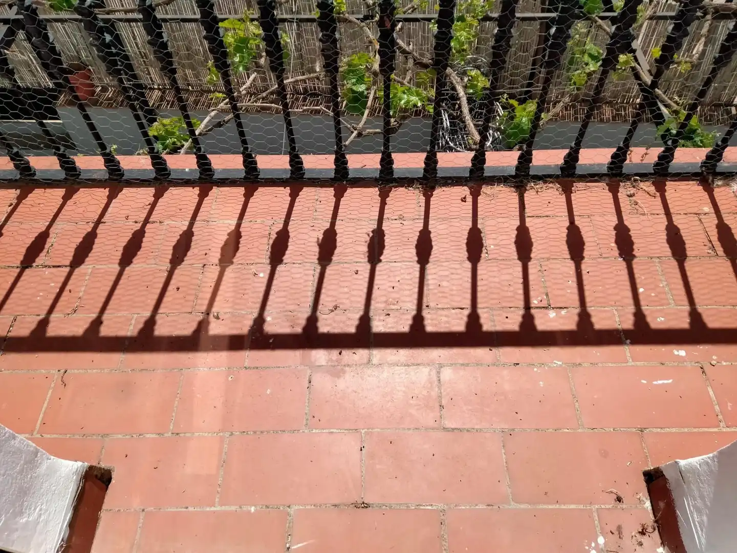 Casa rústica en venta en Partidas Norte, imagen 19