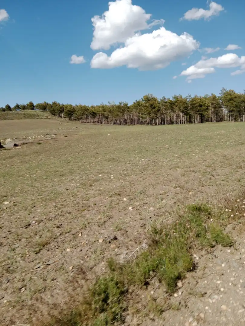 Finca rústica en venda en Velefique amb Moblat