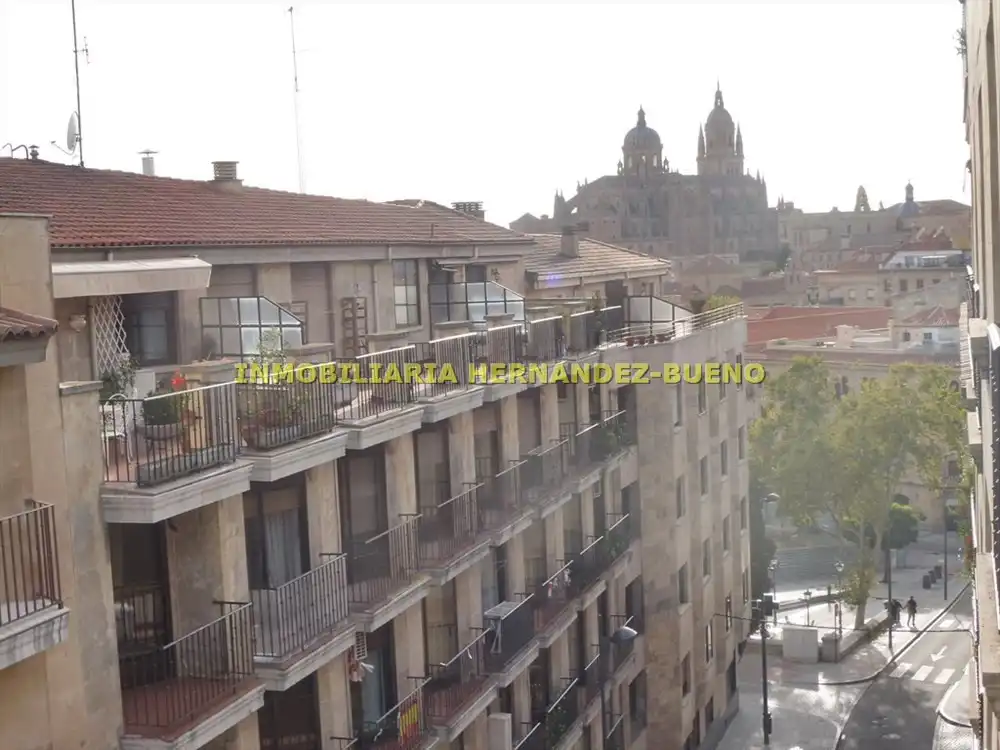 Pis amb terrassa de lloguer a Centro