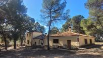 Residential for sale in El Pilar, imagen 1